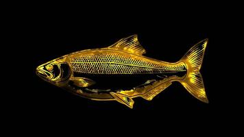 Neon frame effect smoked fish of Latvia, glow, black background. video