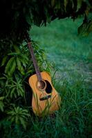 Acoustic guitar, orange string musical instrument placed in the area of trees and grass, playing music in the forest and relaxing. photo