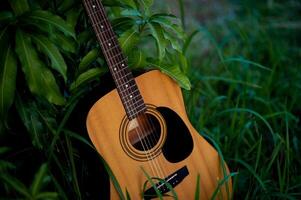 Acoustic guitar, orange string musical instrument placed in the area of trees and grass, playing music in the forest and relaxing. photo