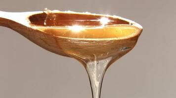 Natural honey slowly flows out of the spoon in a thin stream. video
