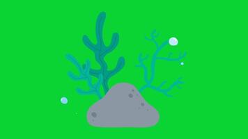 Summer Sticker icons collection, 3D Animation Green Screen, Element Stock Overlay 4k Cartoon Animation Stickers, Realistic running with loop animation chroma key, Green Screen Background video