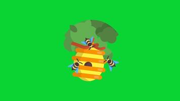 Botanical Garden Sticker collection, 3D Animation Green Screen, Element Stock Overlay 4k Cartoon Animation Stickers, Realistic running with loop animation chroma key, Green Screen Background video
