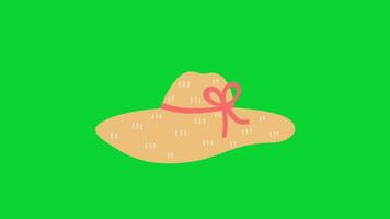 Summer Sticker icons collection, 3D Animation Green Screen, Element Stock Overlay 4k Cartoon Animation Stickers, Realistic running with loop animation chroma key, Green Screen Background video