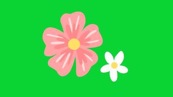 Summer Sticker icons collection, 3D Animation Green Screen, Element Stock Overlay 4k Cartoon Animation Stickers, Realistic running with loop animation chroma key, Green Screen Background video