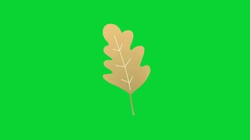 Autumn Leaves icons collection, 3D Animation Autumn Leaves Green Screen, Element Stock Overlay 4k Animation Stickers, Realistic running with loop animation chroma key, Green Screen Background video