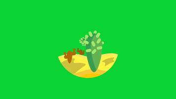 Botanical Garden Sticker collection, 3D Animation Green Screen, Element Stock Overlay 4k Cartoon Animation Stickers, Realistic running with loop animation chroma key, Green Screen Background video