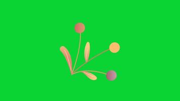 Autumn Leaves icons collection, 3D Animation Autumn Leaves Green Screen, Element Stock Overlay 4k Animation Stickers, Realistic running with loop animation chroma key, Green Screen Background video