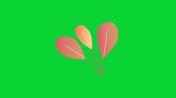 Autumn Leaves icons collection, 3D Animation Autumn Leaves Green Screen, Element Stock Overlay 4k Animation Stickers, Realistic running with loop animation chroma key, Green Screen Background video