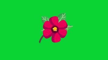 Botanical Garden Sticker collection, 3D Animation Green Screen, Element Stock Overlay 4k Cartoon Animation Stickers, Realistic running with loop animation chroma key, Green Screen Background video