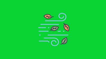 Seasons Sticker icons collection, 3D Animation Green Screen, Element Stock Overlay 4k Cartoon Animation Stickers, Realistic running with loop animation chroma key, Green Screen Background video