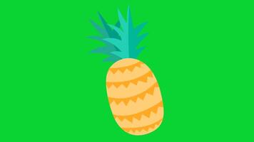 Summer Sticker icons collection, 3D Animation Green Screen, Element Stock Overlay 4k Cartoon Animation Stickers, Realistic running with loop animation chroma key, Green Screen Background video