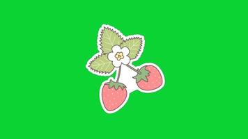 Spring Sticker icons collection, 3D Animation Green Screen, Element Stock Overlay 4k Cartoon Animation Stickers, Realistic running with loop animation chroma key, Green Screen Background video