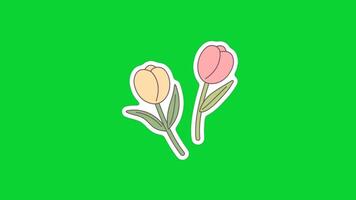 Spring Sticker icons collection, 3D Animation Green Screen, Element Stock Overlay 4k Cartoon Animation Stickers, Realistic running with loop animation chroma key, Green Screen Background video