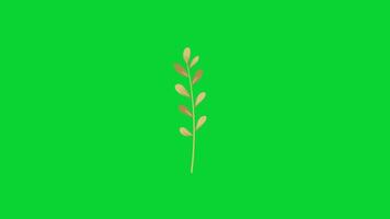 Autumn Leaves icons collection, 3D Animation Autumn Leaves Green Screen, Element Stock Overlay 4k Animation Stickers, Realistic running with loop animation chroma key, Green Screen Background video