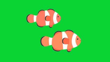 Summer Sticker icons collection, 3D Animation Green Screen, Element Stock Overlay 4k Cartoon Animation Stickers, Realistic running with loop animation chroma key, Green Screen Background video