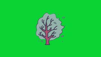 temporadas adesivo ícones coleção, 3d animação verde tela, elemento estoque sobreposição 4k desenho animado animação adesivos, realista corrida com ciclo animação croma chave, verde tela fundo video