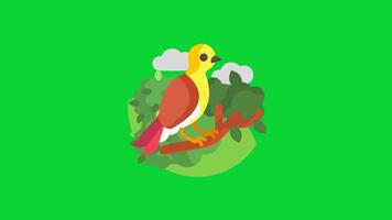 Botanical Garden Sticker collection, 3D Animation Green Screen, Element Stock Overlay 4k Cartoon Animation Stickers, Realistic running with loop animation chroma key, Green Screen Background video