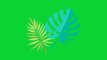 Summer Sticker icons collection, 3D Animation Green Screen, Element Stock Overlay 4k Cartoon Animation Stickers, Realistic running with loop animation chroma key, Green Screen Background video