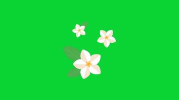 Beach Holiday Sticker icons collection, 3D Animation Green Screen, Element Stock Overlay 4k Cartoon Animation Stickers, Realistic running with loop animation chroma key, Green Screen Background video