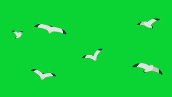 Beach Holiday Sticker icons collection, 3D Animation Green Screen, Element Stock Overlay 4k Cartoon Animation Stickers, Realistic running with loop animation chroma key, Green Screen Background video