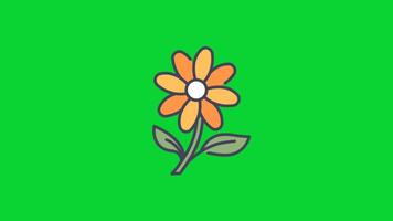 Seasons Sticker icons collection, 3D Animation Green Screen, Element Stock Overlay 4k Cartoon Animation Stickers, Realistic running with loop animation chroma key, Green Screen Background video