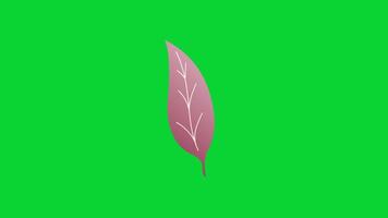 Autumn Leaves icons collection, 3D Animation Autumn Leaves Green Screen, Element Stock Overlay 4k Animation Stickers, Realistic running with loop animation chroma key, Green Screen Background video