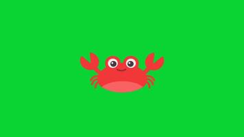 Beach Holiday Sticker icons collection, 3D Animation Green Screen, Element Stock Overlay 4k Cartoon Animation Stickers, Realistic running with loop animation chroma key, Green Screen Background video