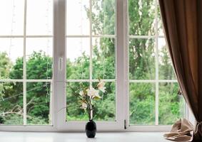 A vase of beautiful lonely flowers on the windowsill in the room, space for text. curtains and a big window. green background photo