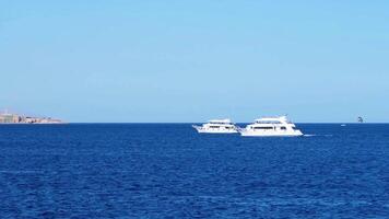 lusso yachts con turisti nel un' baia di il rosso mare video