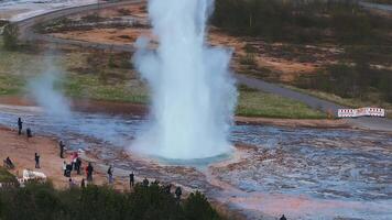 geothermisch Oppervlakte van strokkur in IJsland met heet koken thermisch water rook. spectaculair geotermisch uitbarsting van geysir video