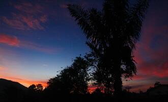 The sunrises in a mountain with silhouettes of hills and several trees that usually grow in tropical rainforests photo