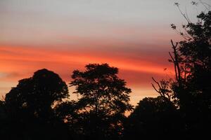 The sunrises in a mountain with silhouettes of hills and several trees that usually grow in tropical rainforests photo