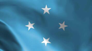 The flag of the Federated States of Micronesia in the wind. Detailed fabric texture. video