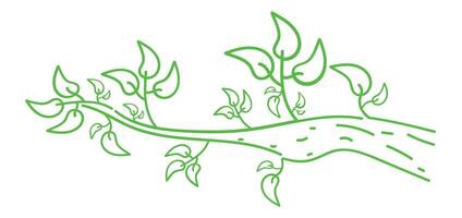 Tree Branch Outline illustration vector