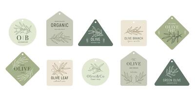 Olive labels with olive branches on color backgrounds in minimal linear style. leaves and olive fruits. Greenery plants and simple frames. vector