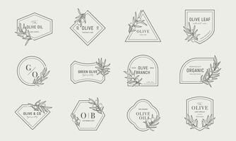 Olive logos templates set with olive branches in minimal linear style. leaves and olive fruits vector