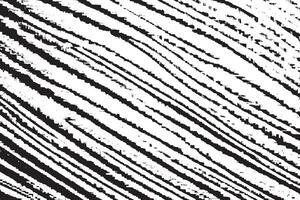 black printed wooden texture on white canvas vector
