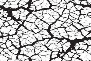black monochrome overlay texture on white background, black and white background or texture vector