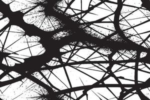 black monochrome overlay texture on white background, black and white background or texture vector