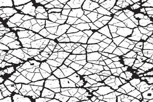 black monochrome overlay texture on white background, black and white background or texture vector