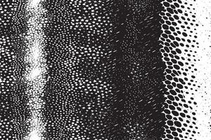 scratched black and white grunge texture overlay monochrome illustration background texture vector