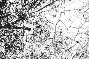 Grunge Texture of Cracked Rough Surface - Abstract Monochrome Cement Background Illustration Overlay Template vector