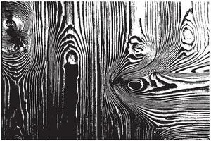 black printed wooden texture on white canvas vector