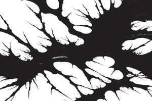 black monochrome overlay texture on white background, black and white background or texture vector