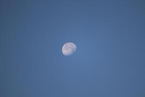 View of a full moon at late evening photo