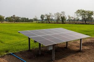 Top view of solar cell panels, an alternative energy source, installed on concrete poles. photo