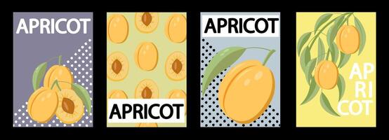 Set of labels, posters and price tags with apricot fruits in a bright minimalistic style. vector
