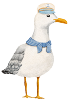 Watercolor Seagull Standing Captain Design png