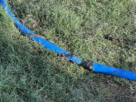 blue plastic hose in the garden photo