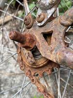 rusty bicycle wheel on a chain photo